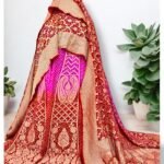 Red Rani Bandhani Khaddi Georgette Handloom Banarasi Lahenga