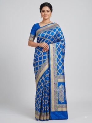 Banarasi Dupion Silk Jaal Saree