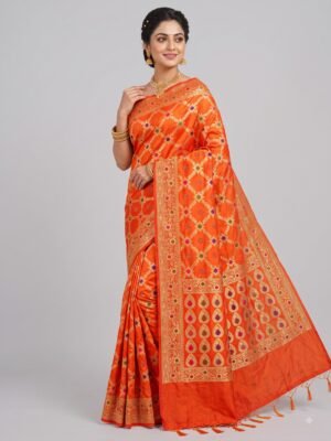 Banarasi Dupion Silk Jaal Sarees