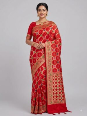 Banarasi Dupion Silk Jaal Sarees